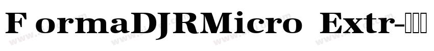 F ormaDJRMicro  Extr字体转换